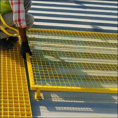 Skylight Protector